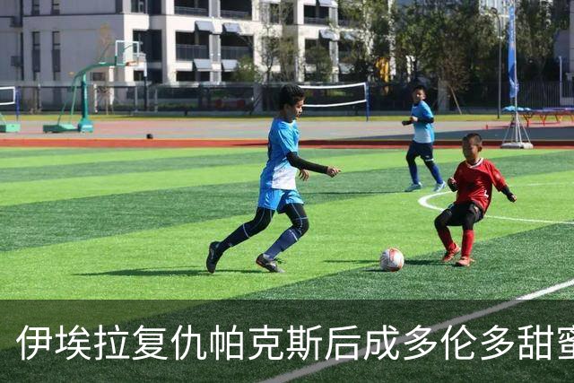 伊埃拉复仇帕克斯后成多伦多甜蜜烦恼，莱巴获胜被调侃像开盲盒